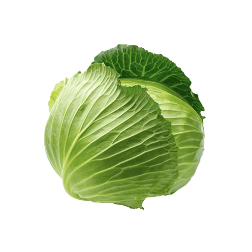 Vegetables